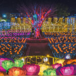 Field of flower lights at Ashikaga Flower Park Illuminations