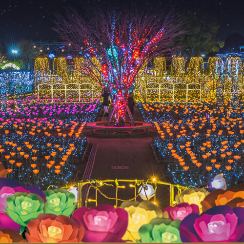 Field of flower lights at Ashikaga Flower Park Illuminations