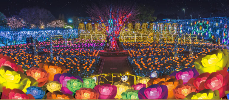 Field of flower lights at Ashikaga Flower Park Illuminations