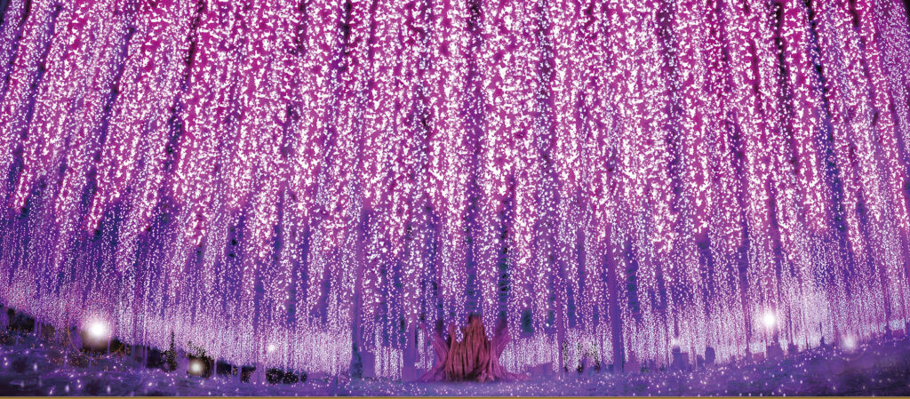 Wisteria tree illuminations at Ashikaga Flower Park Illuminations