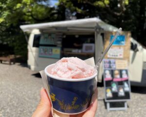 Rose Gelato at the Kyu-Furukawa Gardens Autumn Rose Festival