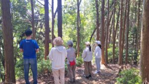 Forest Therapy at Mino momiji festival