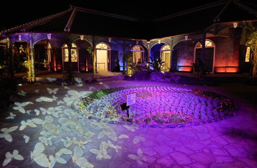 Glover Garden Night Illumination 1