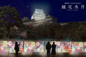 Himeji Castle Light-up 