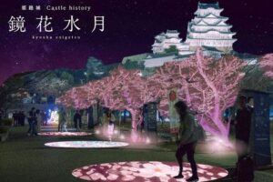 Himeji Castle Light-up 