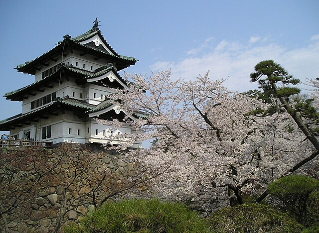 Cherry Blossoms at Hirosaki Castle in Spring