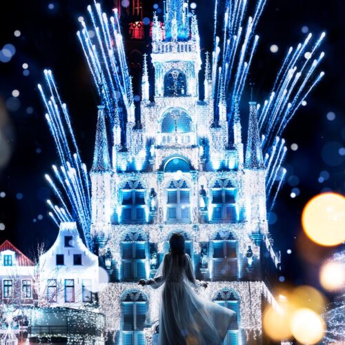 Huis Ten Bosch Silvery-white Wonderland