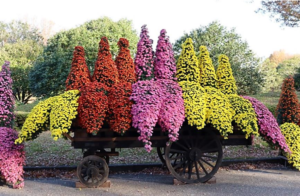 Jindai Botanical Gardens Flower Float