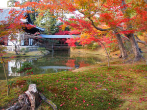 Kōdai-ji Zen Temple during autumn