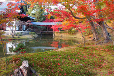 Kodai ji Zen Temple Autumn Illuminations 2