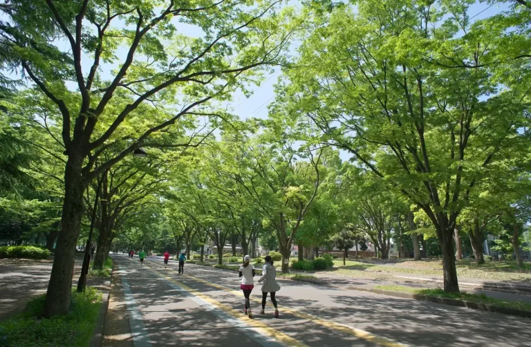 running path with runners at Komazawa Olympic Park