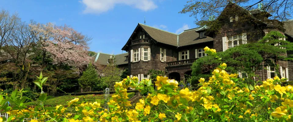 Kyu-Furukawa Gardens