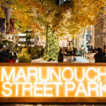 Marunouchi Illumination