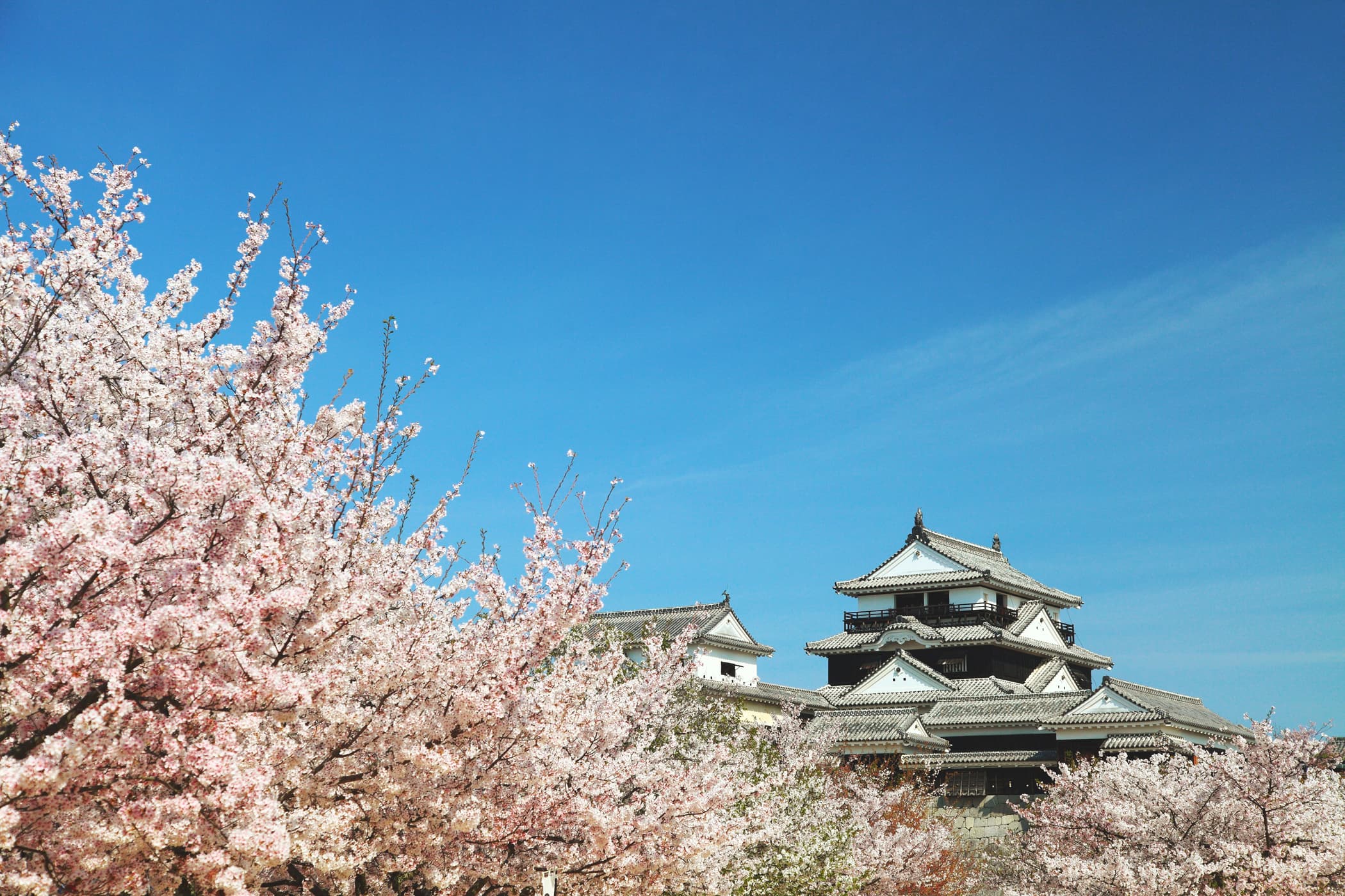 Matsuyama Castle