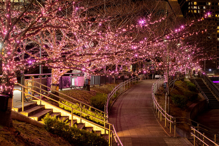 Illuminations at the River Meguro in winter