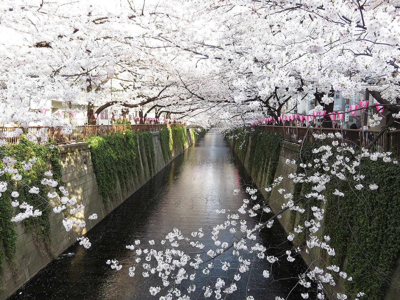 Meguro River