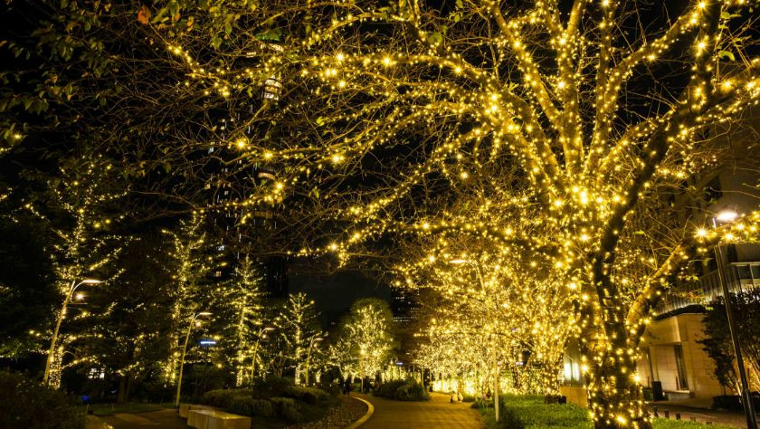 Walk of light illuminations for Midtown Christmas