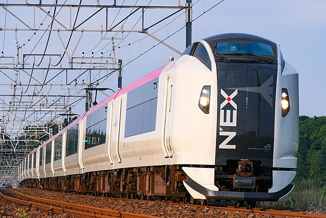 The Narita Express train