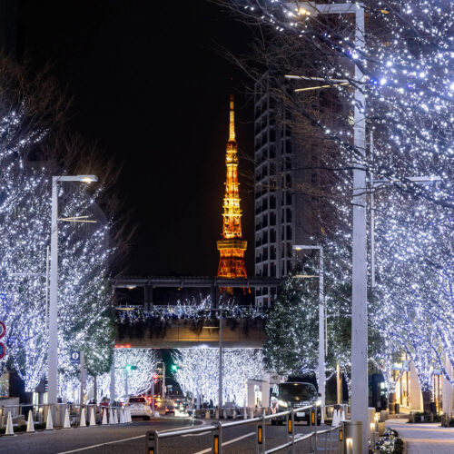 Roppongi Hills Christmas Illumination