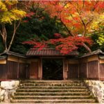 The entrance to Kyoto's Rurikō-in Temple during autumn,