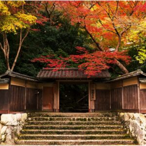 The entrance to Kyoto's Rurikō-in Temple during autumn,