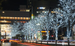 Sapporo White Illumination 