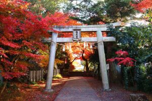 Temple at Mino