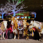 Mini ponies at Oi Racecourse for Tokyo Mega Illumination