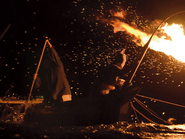 Cormorant Fishing in Gifu