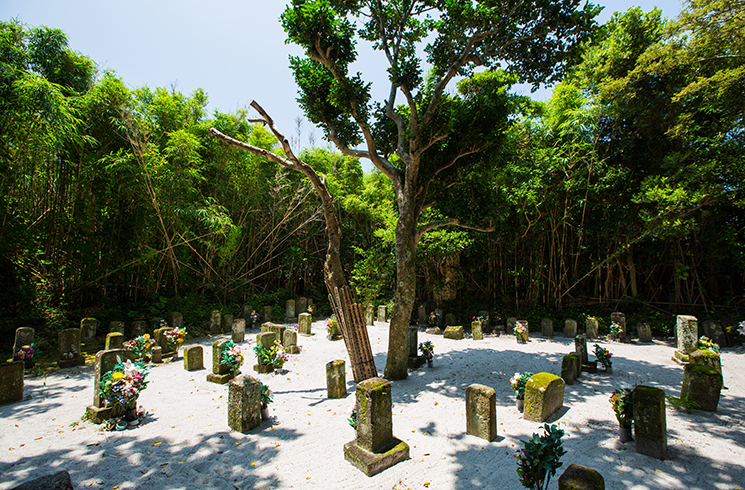 Exile Graveyard, Niijima