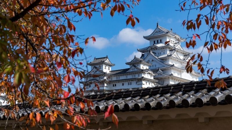 Himeji Castle in Autumn