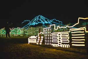 Kagoshima Illuminage