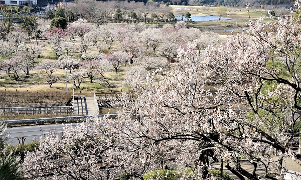 Kairakuen Garden