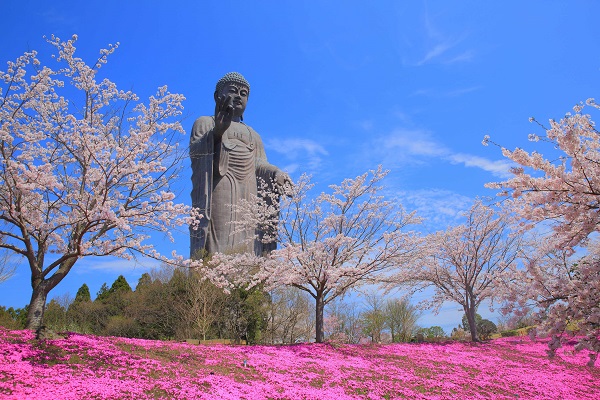 Ushiku Daibutsu Buddha Statue