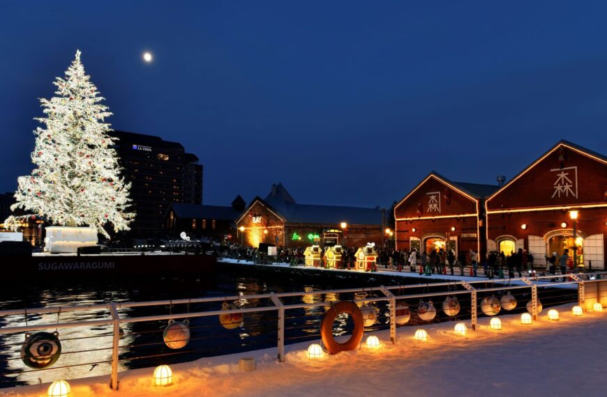 Hakodate Christmas Fantasy edited