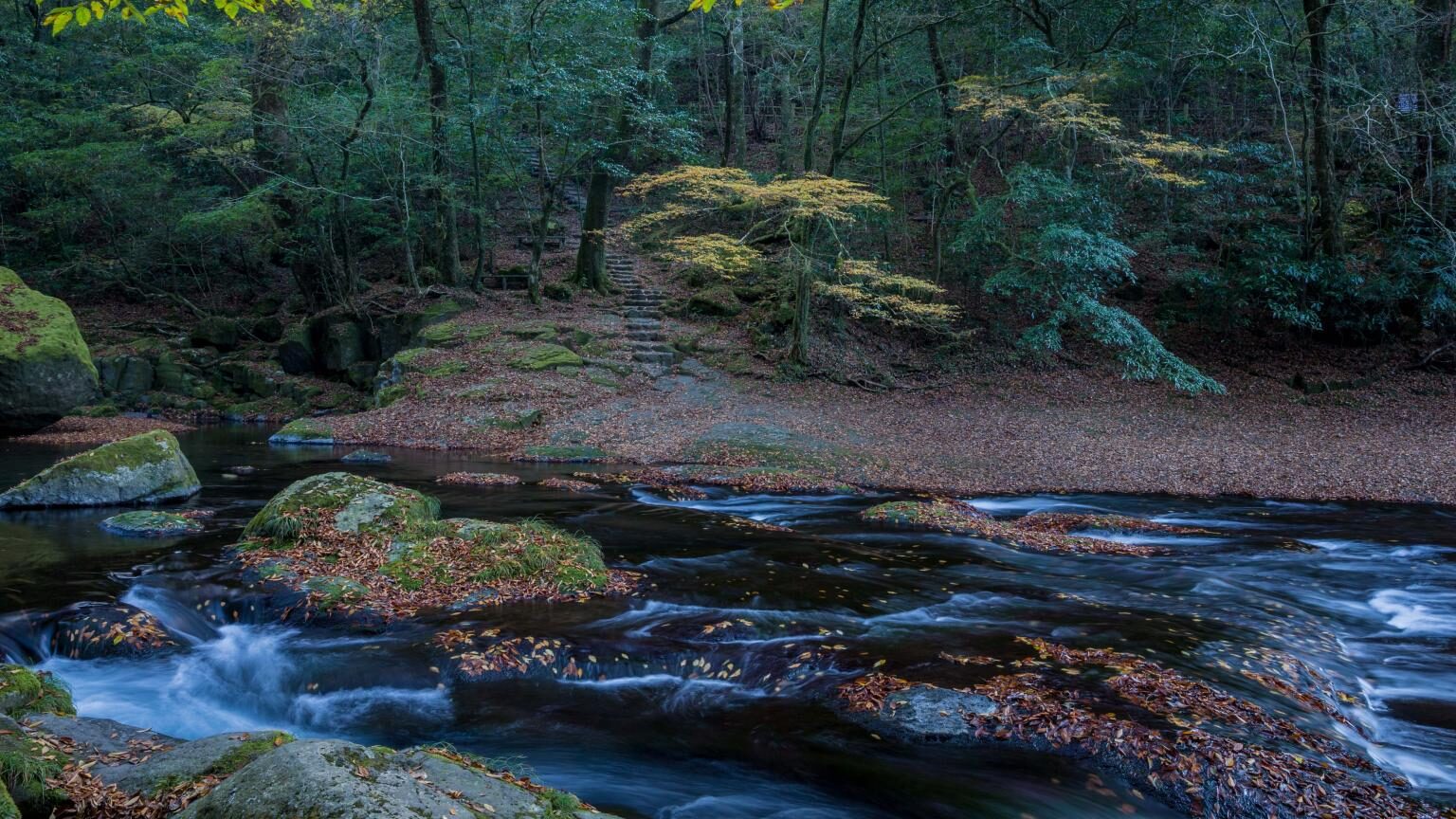 Kikuchi Valley