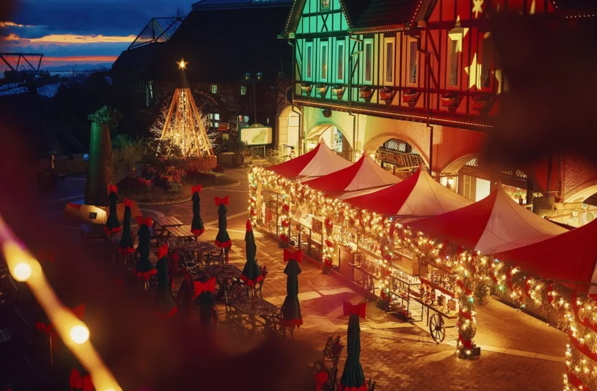 Kobe Christmas Market 1