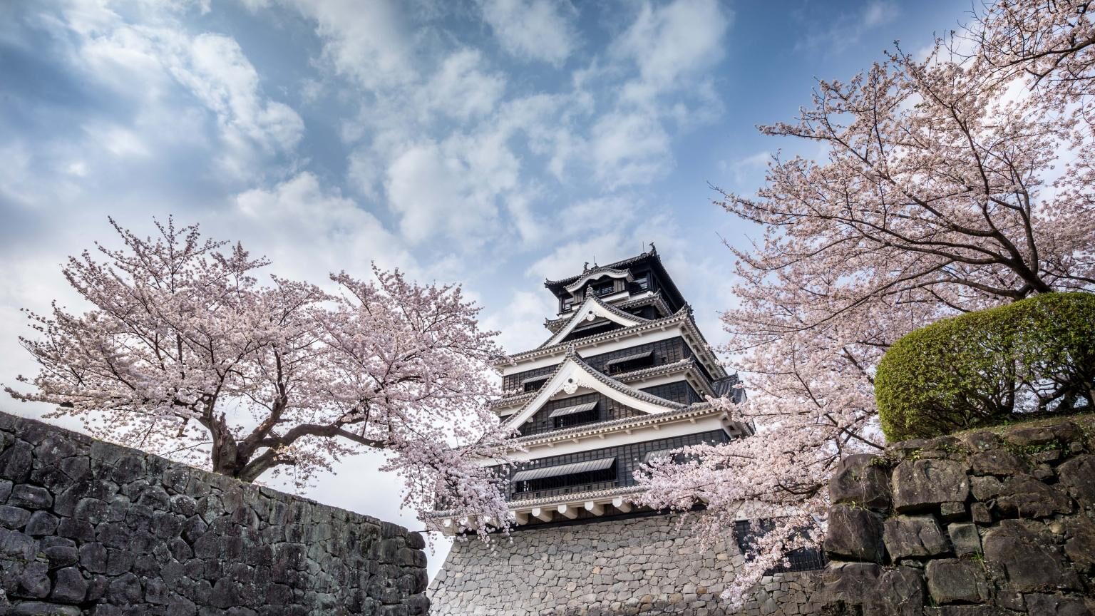 Kumamoto Castle in Spring