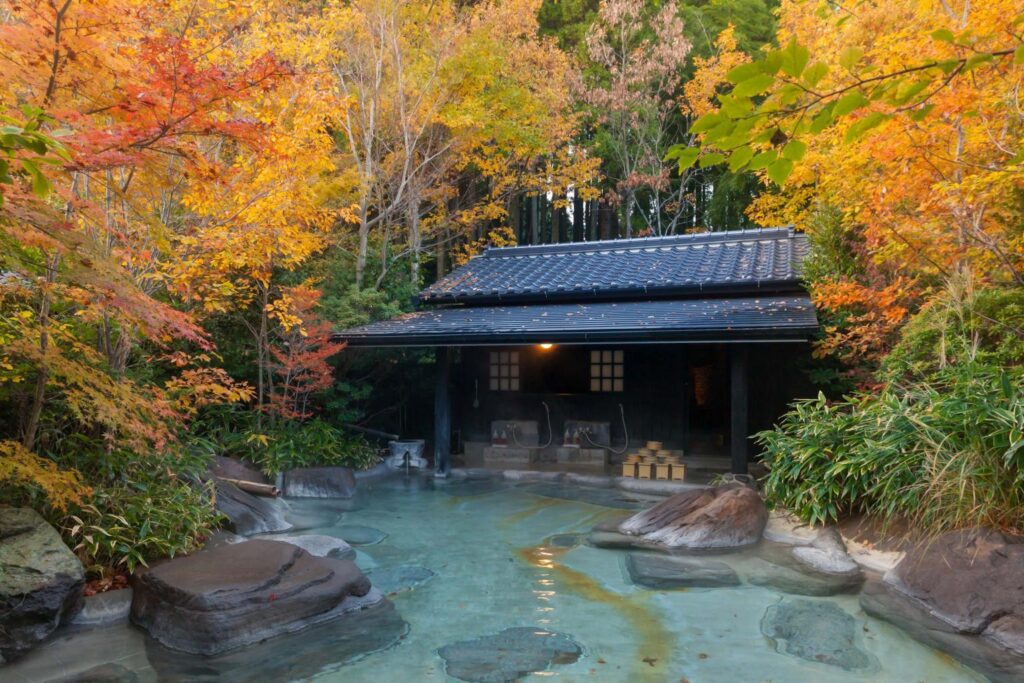 Take-no-yu Jigokudani Onsen