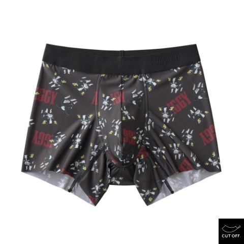 Iggy Boxers Mens