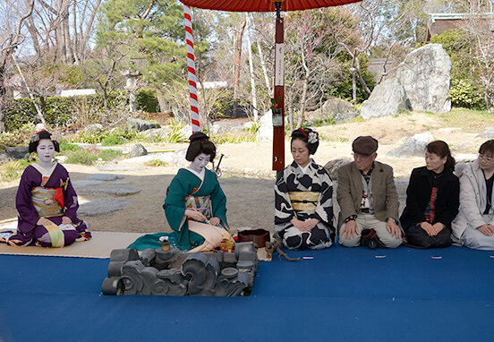 Plum Blossom Festival Outdoor Tea Ceremony