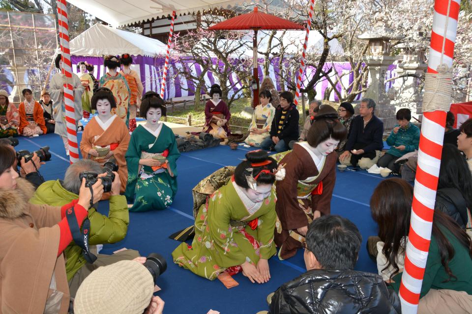 Plum Blossom Festival Outdoor Tea Ceremony