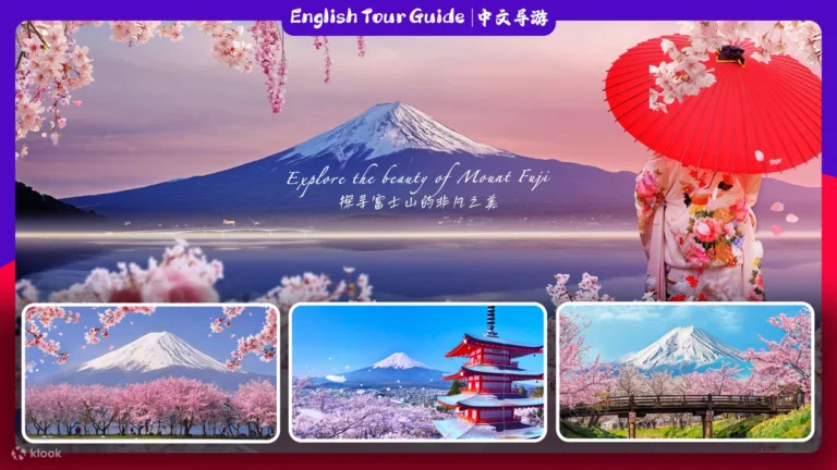 [Limited Time Offer] One-Day Tour to Mount Fuji | Depart from Tokyo