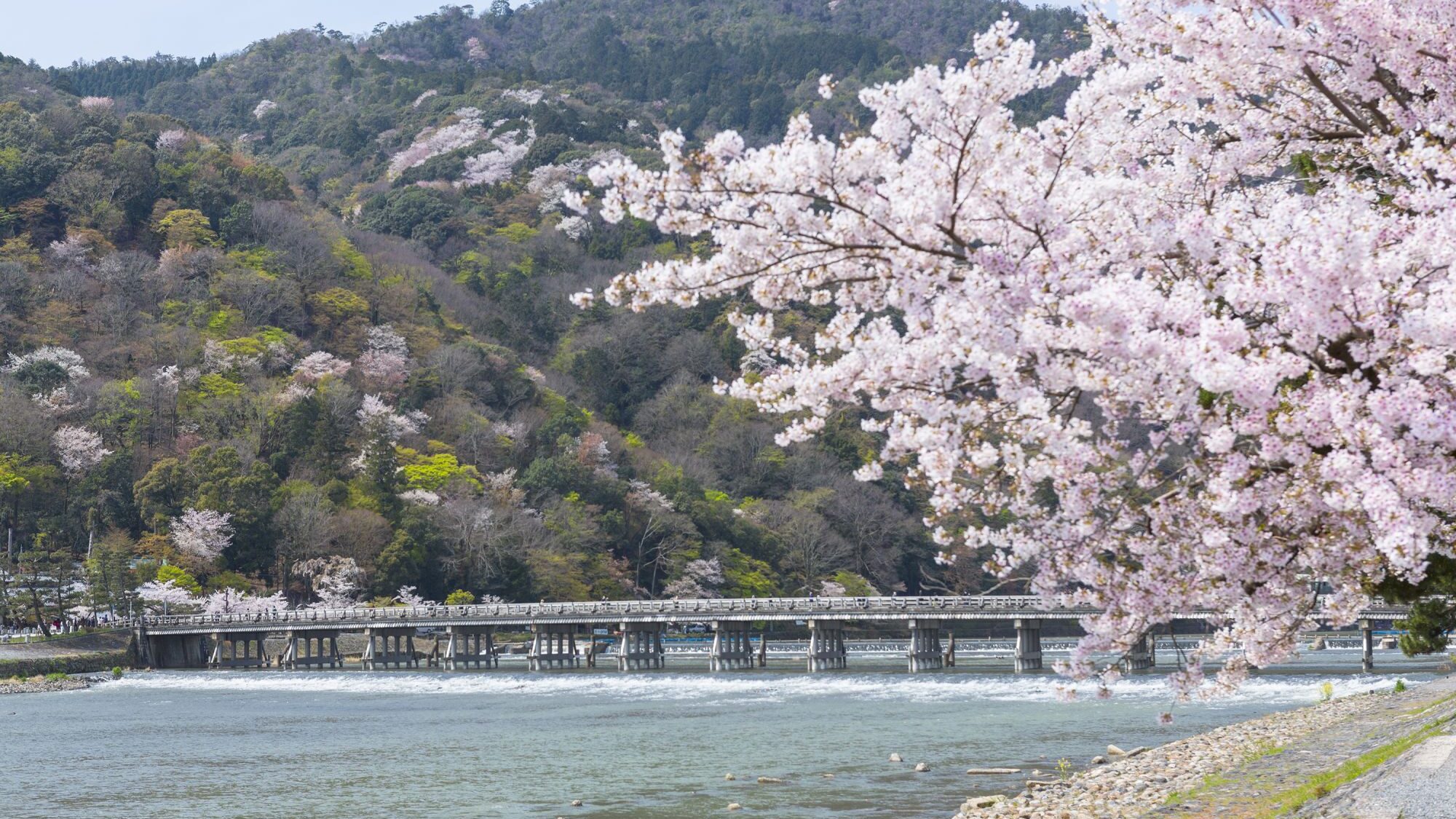 Arashiyama in Spring