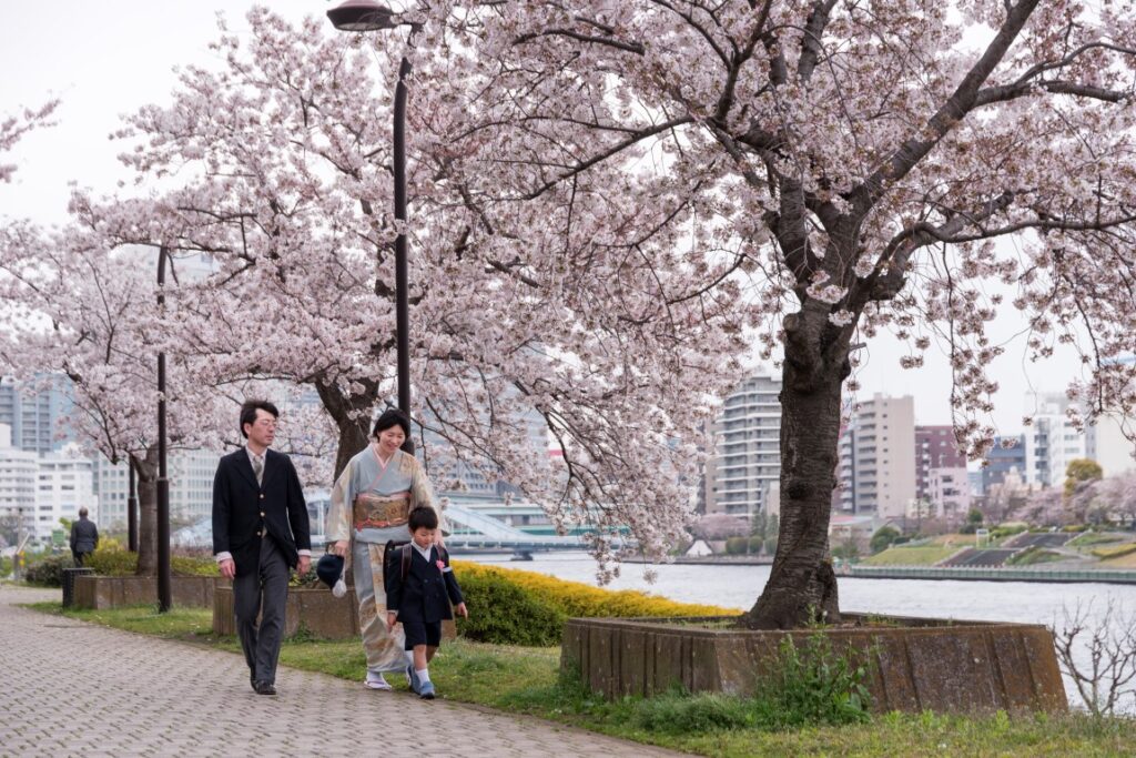 Cherry trees bloom in riverside parks near Asakusa, Tokyo