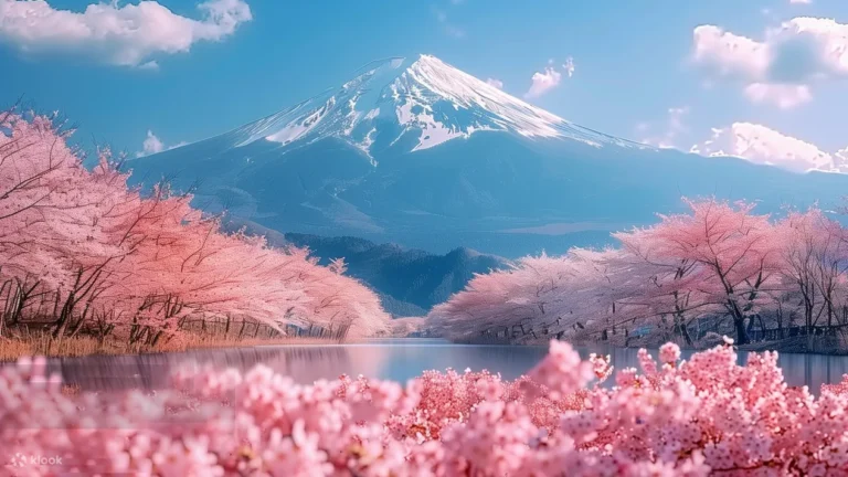 Mount Fuji Hakone Kawaguchiko flower viewing tour (from Tokyo)