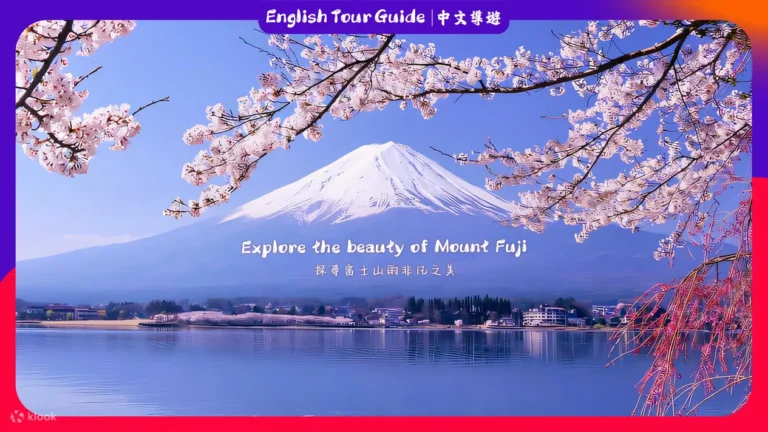 Mount Fuji popular instagrammable sightseeing tour (from Tokyo)