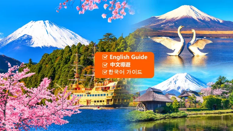 Mt. Fuji and Hakone "Land, Sea, and Air" Exploration Tour (with Free Hakone Skycar Cable Car, Departs from Tokyo)