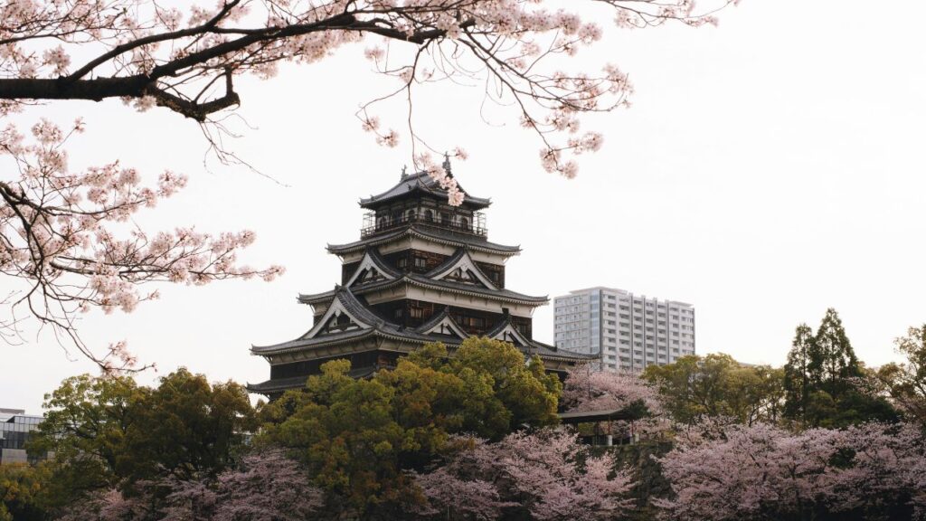 Cherry blossoms at Hiroshima Castle