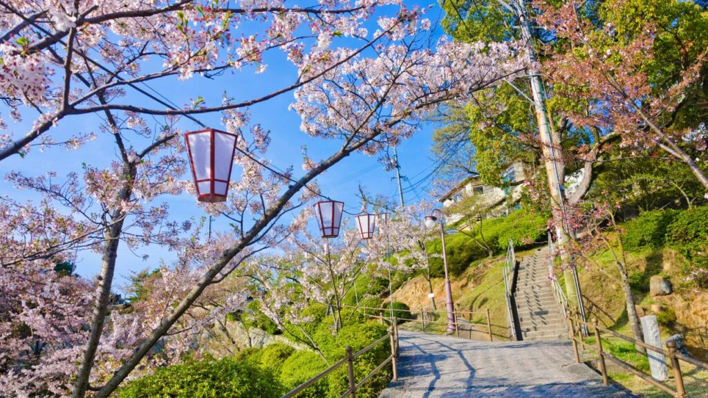 Cherry blossoms blooming in Hiroshima Prefecture